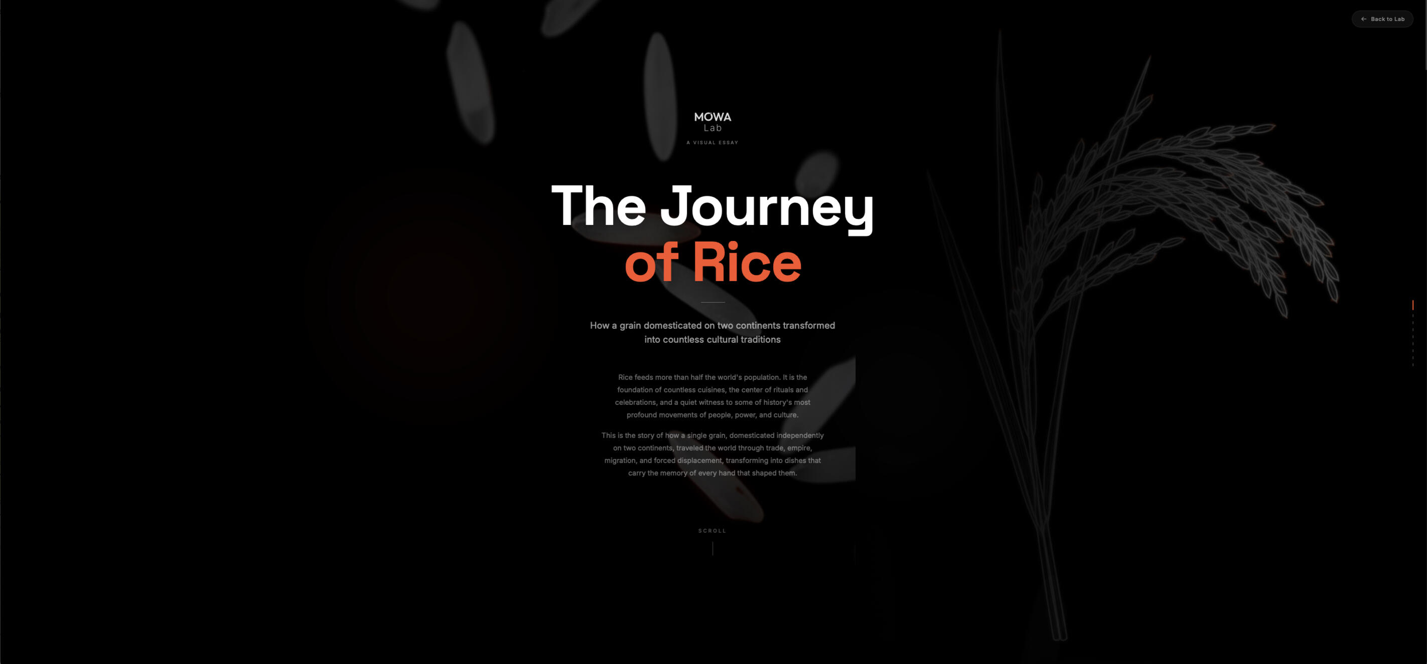 The Journey of Rice